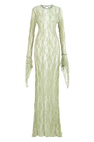 Patricia Lace Dress