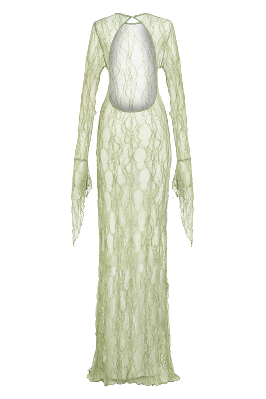 Patricia Lace Dress